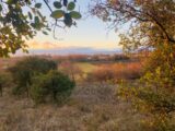 Maison à construire à Barjac (30430) 2241764-11001annonce120250807qfWWR.jpeg Maisons France Confort