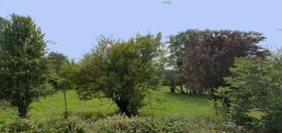 Terrain à bâtir à , Essonne