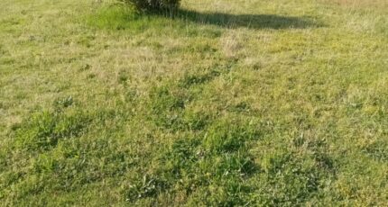 Gujan-Mestras Maison neuve - 2241983-11244annonce320250807niBP4.jpeg Maisons France Confort