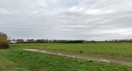Surgères Terrain à bâtir - 2242024-7092annonce120250807M4RHg.jpeg Maisons France Confort