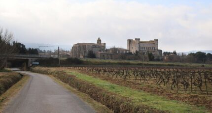 Douzens Terrain à bâtir - 2242284-11456annonce220250807oMzA8.jpeg Maisons France Confort