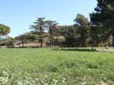 Terrain à bâtir à Escales (11200) 2242316-11456annonce220250807FPuPo.jpeg Maisons France Confort