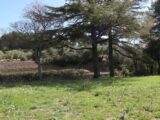 Terrain à bâtir à Escales (11200) 2242316-11456annonce320250807XZtuV.jpeg Maisons France Confort