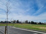 Maison à construire à Eaunes (31600) 2241813-10326annonce120250807PoBs5.jpeg Maisons France Confort
