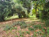 Terrain à bâtir à Lombers (81120) 2242207-11178annonce220250807NxV78.jpeg Maisons France Confort