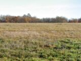 Terrain à bâtir à Villariès (31380) 2242481-5604annonce220250807KT1S5.jpeg Maisons France Confort