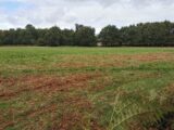 Terrain à bâtir à Le Barp (33114) 2244298-3957annonce120250811Rd4gN.jpeg Maisons France Confort