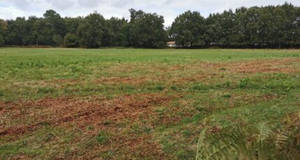 Le Barp Terrain à bâtir - 2244298-3957annonce120250811Rd4gN.jpeg Maisons France Confort