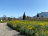 Terrain à bâtir à Ventavon (05300) 2244122-3921annonce220250811T7SOT.jpeg Maisons France Confort