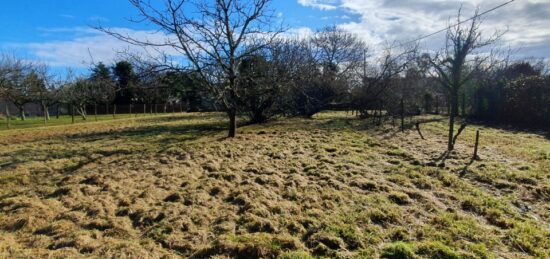 Terrain à bâtir à Saint-Savin, Nouvelle-Aquitaine