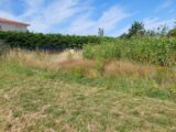 Terrain à bâtir à Gragnague (31380) 2244337-5604annonce420250811Jl1sF.jpeg Maisons France Confort