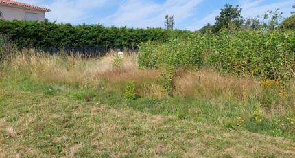 Gragnague Terrain à bâtir - 2244337-5604annonce420250811Jl1sF.jpeg Maisons France Confort