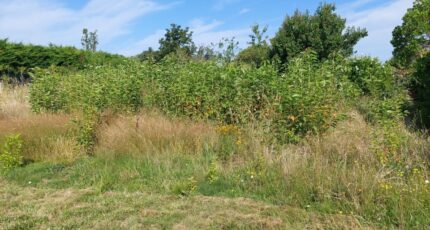 Gragnague Terrain à bâtir - 2244337-5604annonce520250811IbwX0.jpeg Maisons France Confort
