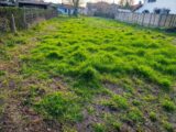 Maison à construire à Gujan-Mestras (33470) 2244690-11151annonce1202507108wNKw.jpeg Maisons France Confort