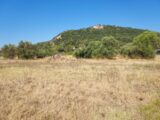 Terrain à bâtir à Gonfaron (83590) 2244916-11137annonce320250813PHN5E.jpeg Maisons France Confort
