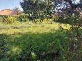 Terrain à bâtir à Fréjus (83600) 2244992-11157annonce120250813F9KVQ.jpeg Maisons France Confort