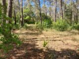 Terrain à bâtir à Bagnols-en-Forêt (83600) 2245641-11157annonce120250814vOFtG.jpeg Maisons France Confort