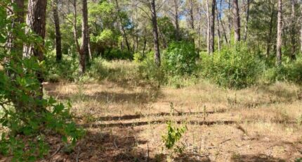 Bagnols-en-Forêt Terrain à bâtir - 2245641-11157annonce120250814vOFtG.jpeg Maisons France Confort