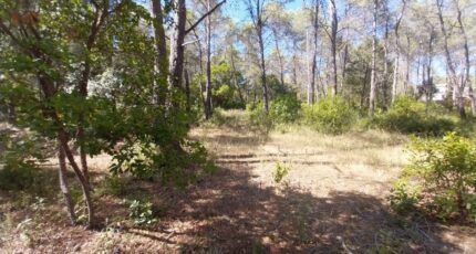 Bagnols-en-Forêt Terrain à bâtir - 2245641-11157annonce220250814dQETr.jpeg Maisons France Confort