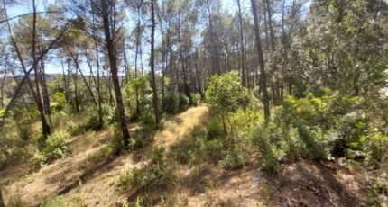 Bagnols-en-Forêt Terrain à bâtir - 2245641-11157annonce320250814ELyMn.jpeg Maisons France Confort