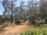 Terrain à bâtir à Bagnols-en-Forêt (83600) 2245641-11157annonce420250814aMkxz.jpeg Maisons France Confort