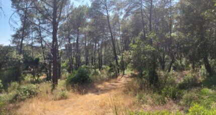 Bagnols-en-Forêt Terrain à bâtir - 2245641-11157annonce420250814aMkxz.jpeg Maisons France Confort