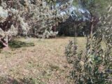 Terrain à bâtir à Roquebrune-sur-Argens (83520) 2245652-11157annonce120250814v7neM.jpeg Maisons France Confort