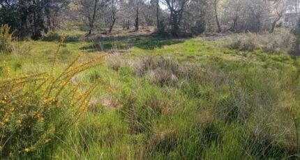 Le Teich Terrain à bâtir - 2245658-11244annonce120250814yQou9.jpeg Maisons France Confort