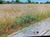 Maison à construire à La Lande-de-Fronsac (33240) 2233675-11131annonce220250711S3frr.jpeg Maisons France Confort
