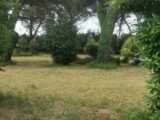 Terrain à bâtir à Saint-Maixant (33490) 2232840-9573annonce120250724may6m.jpeg Maisons France Confort