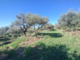 Terrain à bâtir à Vagnas (07150) 2246139-5100annonce220250818e9fKO.jpeg Maisons France Confort