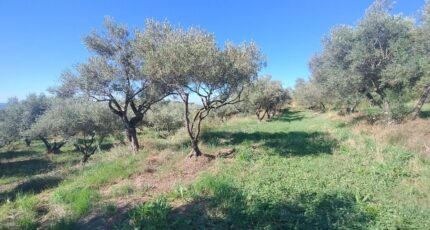 Vagnas Terrain à bâtir - 2246139-5100annonce220250818e9fKO.jpeg Maisons France Confort