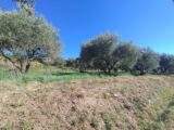 Terrain à bâtir à Vagnas (07150) 2246139-5100annonce320250818uKT2t.jpeg Maisons France Confort