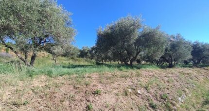 Vagnas Terrain à bâtir - 2246139-5100annonce320250818uKT2t.jpeg Maisons France Confort