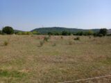 Terrain à bâtir à Lecques (30250) 2246138-11040annonce120250818XSUw6.jpeg Maisons France Confort
