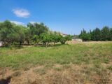 Terrain à bâtir à Puget-sur-Argens (83480) 2237177-11137annonce320250730PzNJF.jpeg Maisons France Confort