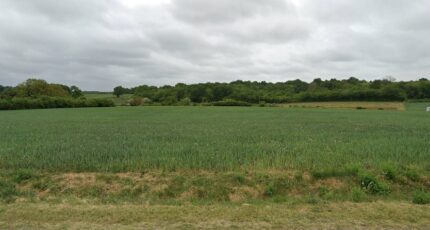 Meursac Terrain à bâtir - 2246802-11163annonce120250819guK8d.jpeg Maisons France Confort