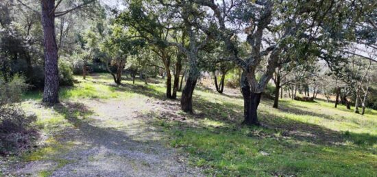 Terrain à bâtir à Vidauban, Provence-Alpes-Côte d'Azur