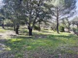 Terrain à bâtir à Vidauban (83550) 2232661-11039annonce220250724uMFxv.jpeg Maisons France Confort