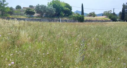 La Crau Terrain à bâtir - 2232717-11039annonce120250724XqXeh.jpeg Maisons France Confort