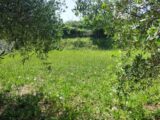 Terrain à bâtir à Brignoles (83170) 2232705-11039annonce220250724fGvnF.jpeg Maisons France Confort