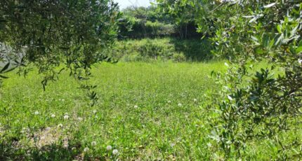 Brignoles Terrain à bâtir - 2232705-11039annonce220250724fGvnF.jpeg Maisons France Confort