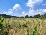 Terrain à bâtir à Garéoult (83136) 2232738-11039annonce320250724GwcrQ.jpeg Maisons France Confort