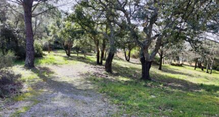 Vidauban Maison neuve - 2232664-11039annonce120250724CIoP7.jpeg Maisons France Confort