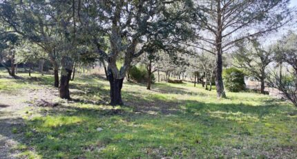 Vidauban Maison neuve - 2232664-11039annonce220250724uMFxv.jpeg Maisons France Confort