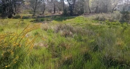 Le Teich Terrain à bâtir - 2247531-11244annonce1202508208nvMS.jpeg Maisons France Confort