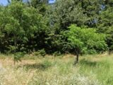 Terrain à bâtir à La Bastide-des-Jourdans (84240) 2228871-9917annonce220250719cshDu.jpeg Maisons France Confort