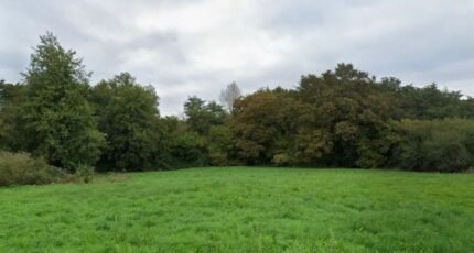 Lésigny Terrain à bâtir - 2247781-11570annonce1202508203S6dP.jpeg Maisons France Confort