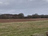 Terrain à bâtir à Aibes (59149) 2247842-10863annonce120250821aTT4I.jpeg Maisons France Confort