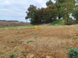 Maison à construire à Ségoufielle (32600) 2248650-9555annonce120250822IvMdV.jpeg Maisons France Confort